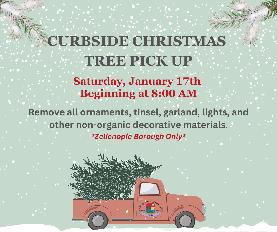 Curbside Christmas Tree Pickup (2)
